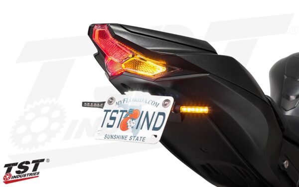 TST Tail Tady Kawasaki ZX-10R - Image 2