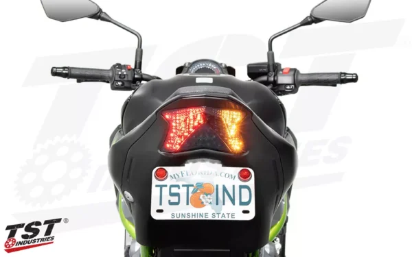 TST Tail Light Kawasaki Z900 - Image 2